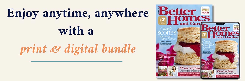 Subscribe to our print & digital bundle offer