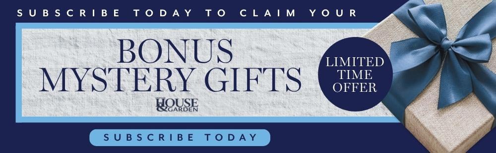 Subscribe and Receive Bonus Mystery Gifts