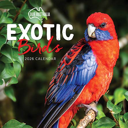 Our Australia Exotic Birds 2026 Calendar