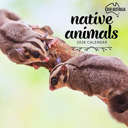 Our Australia Native Animals 2026 Calendar