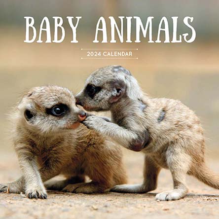 2024 Baby Animals Calendar