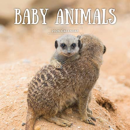 Baby Animals 2026 Calendar