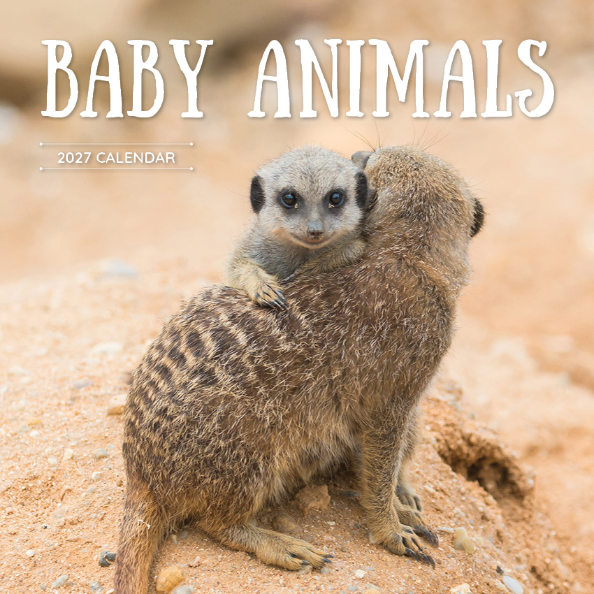 Baby Animals Calendar 2027