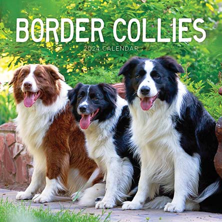 2024 Border Collies Calendar