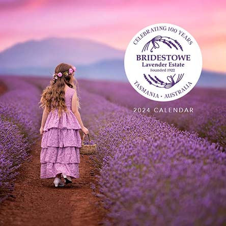 2024 Bridestowe Lavender Calendar