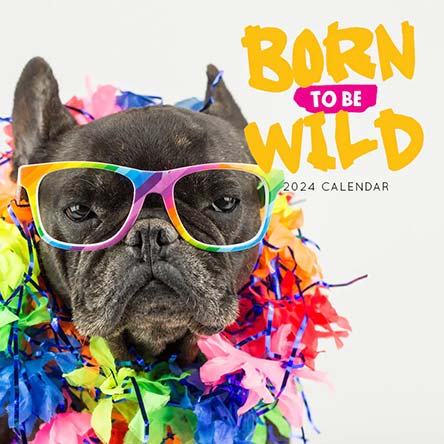 2024 Born to be Wild Calendar