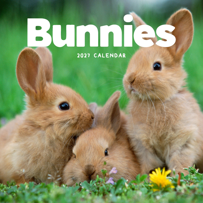 Bunnies Calendar 2027