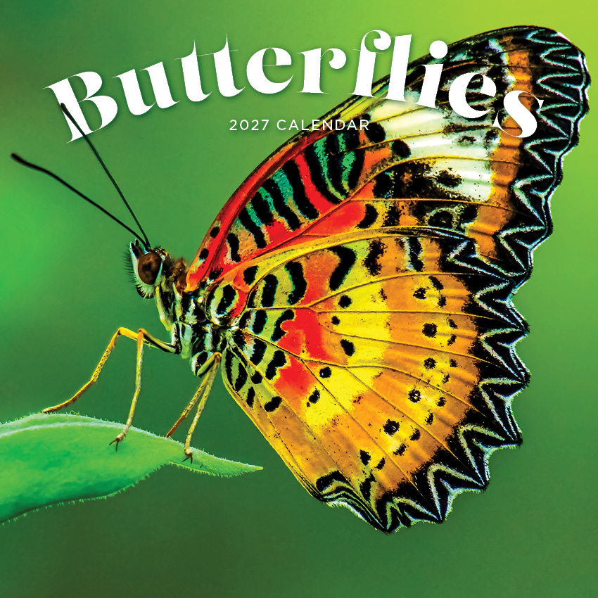 Butterflies Calendar 2027