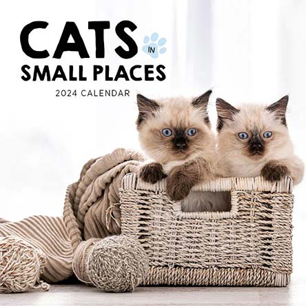 2024 Cats in Small Places Calendar