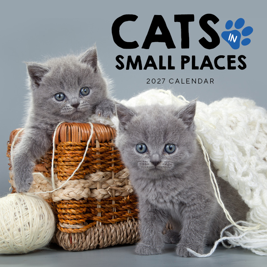 Cats in Small Places Calendar 2027
