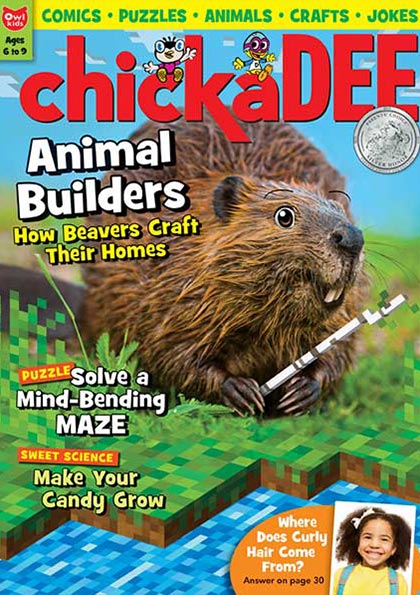 ChickaDEE Magazine Subscription