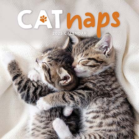 Cat Naps 2025 Calendar