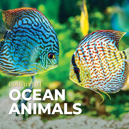 Colourful Ocean Animals 2025 Calendar