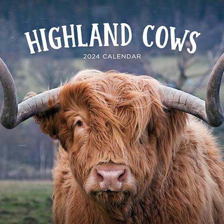 2024 Highland Cows Calendar