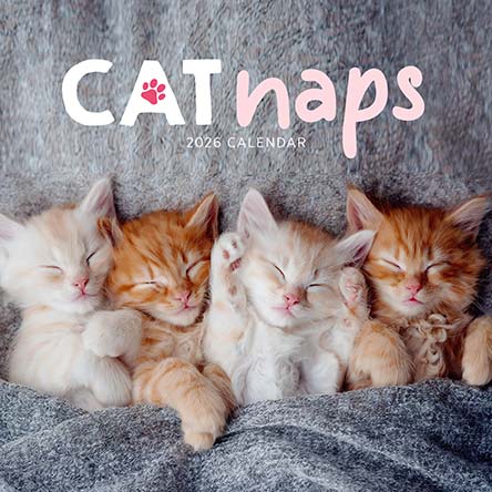 Cat Naps 2026 Calendar