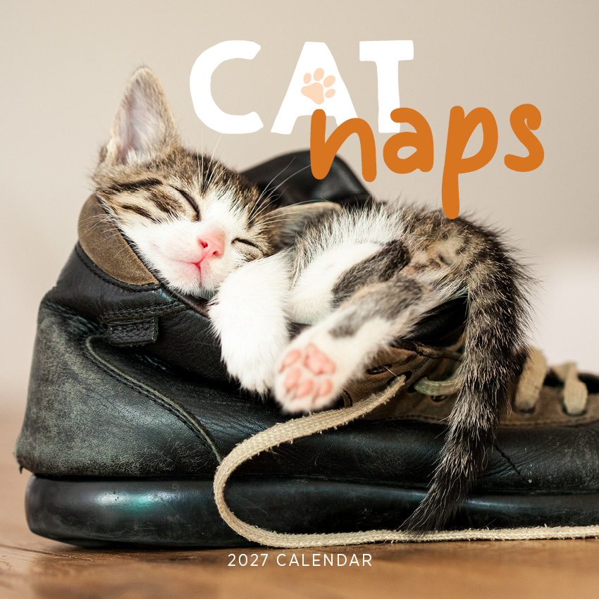 Cat Naps Calendar 2027