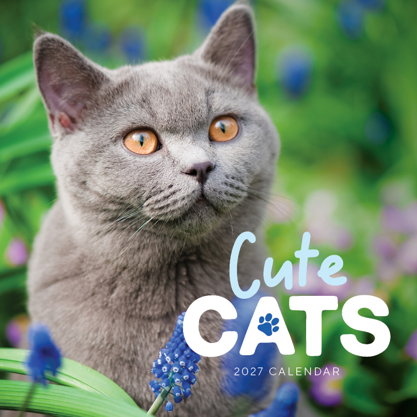 Cute Cats Calendar 2027