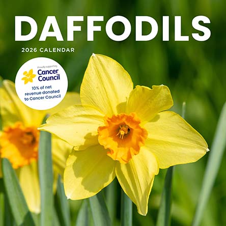Daffodils Cancer Council 2026 Calendar