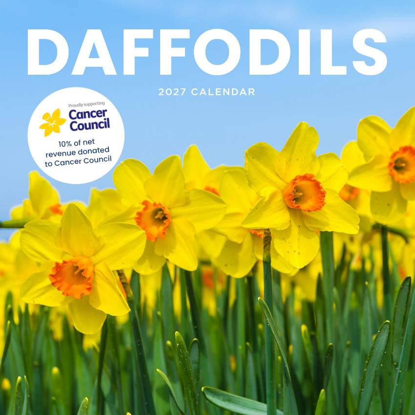 Daffodils The Cancer Council Calendar 2027