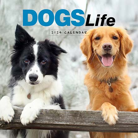 2024 Dogs Life Calendar