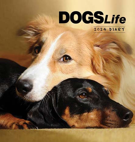 2024 Dogs Life Diary