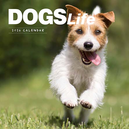 Dogs Life 2026 Calendar