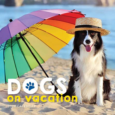 2024 Dogs on Vacation Calendar