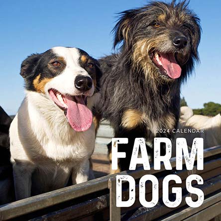 2024 Farm Dogs Calendar
