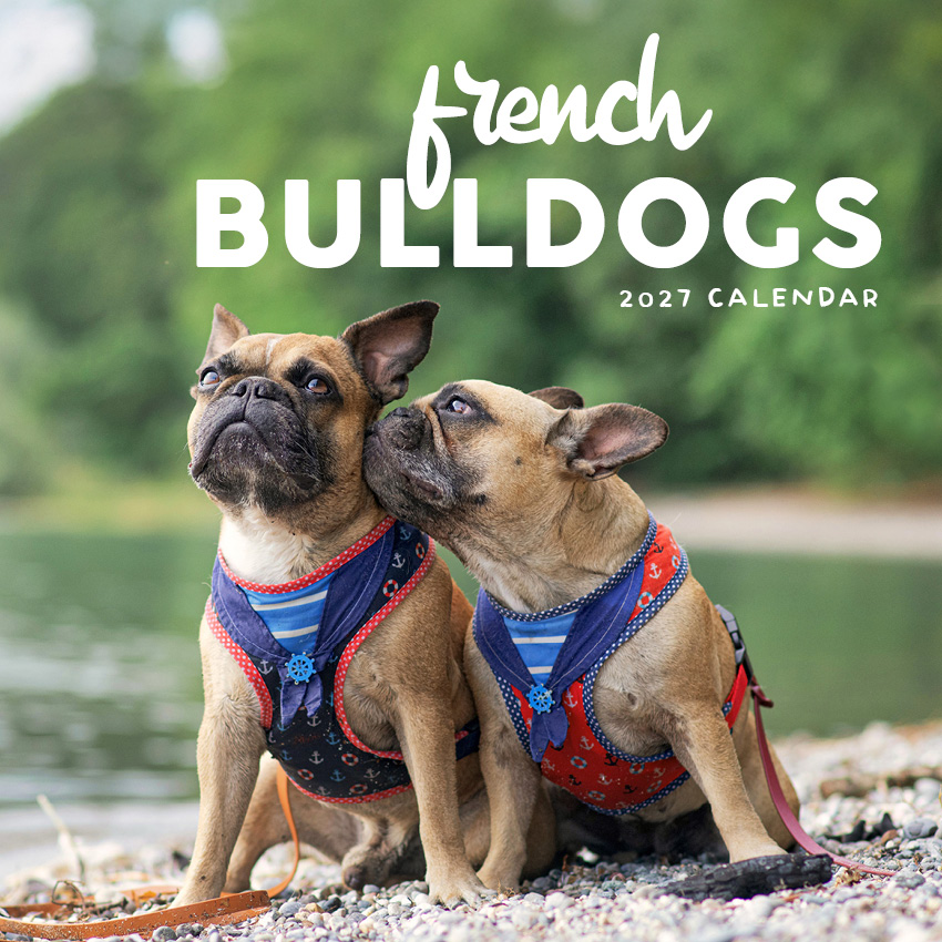 French Bulldogs Calendar 2027