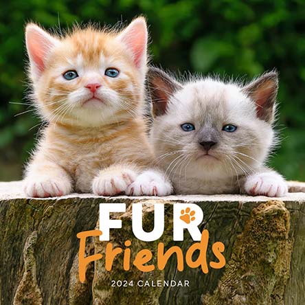 2024 Fur Friends Calendar