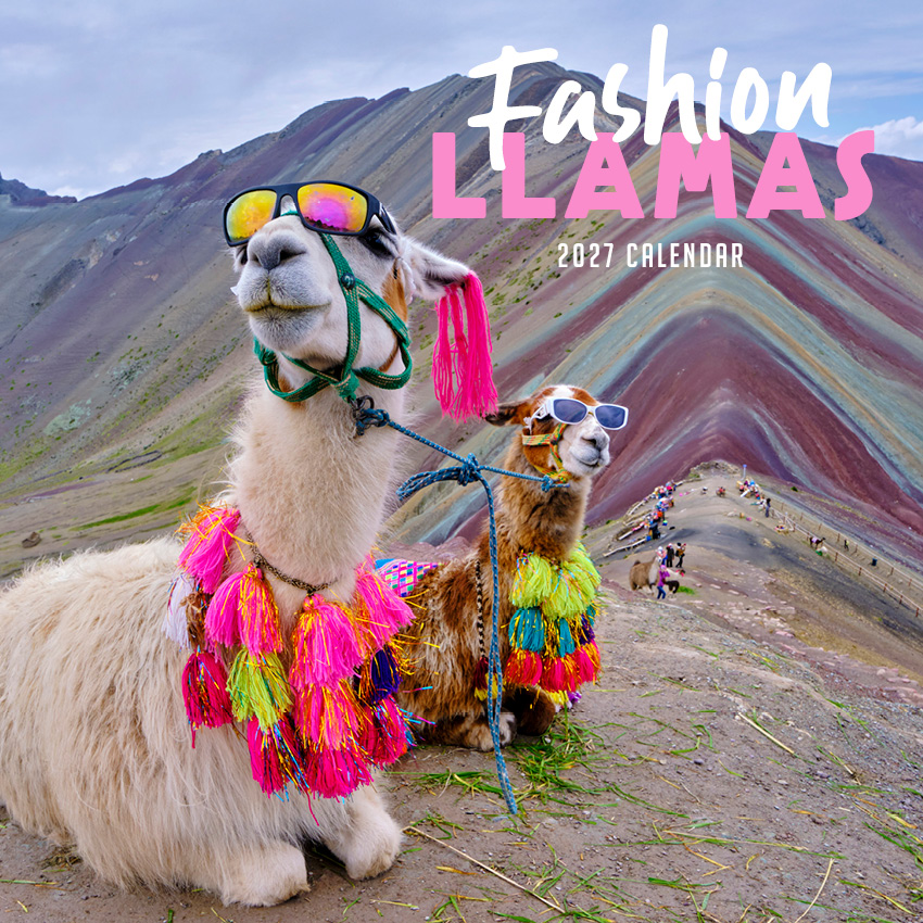 Fashion Llama Calendar 2027