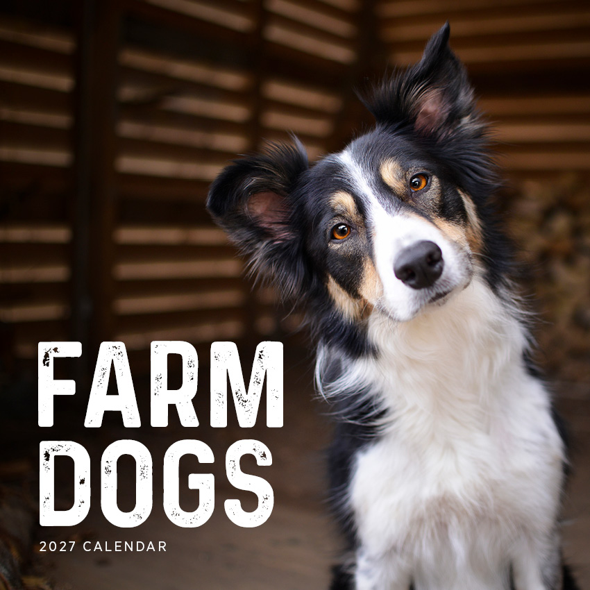 Farm Dogs Calendar 2027