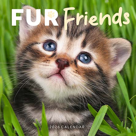 Fur Friends 2026 Calendar