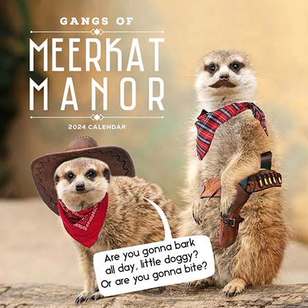 2024 Gangs of Meerkat Manor Calendar