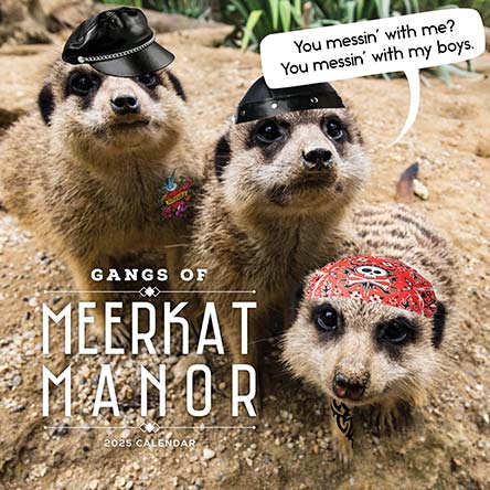 Gangs of Meerkat Manor 2025 Calendar
