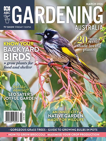 ABC Gardening Australia 6 issues