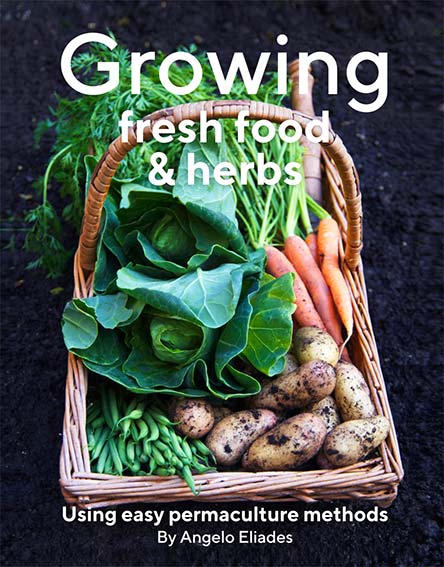 Growing Fresh Food & Herbs Bookazine