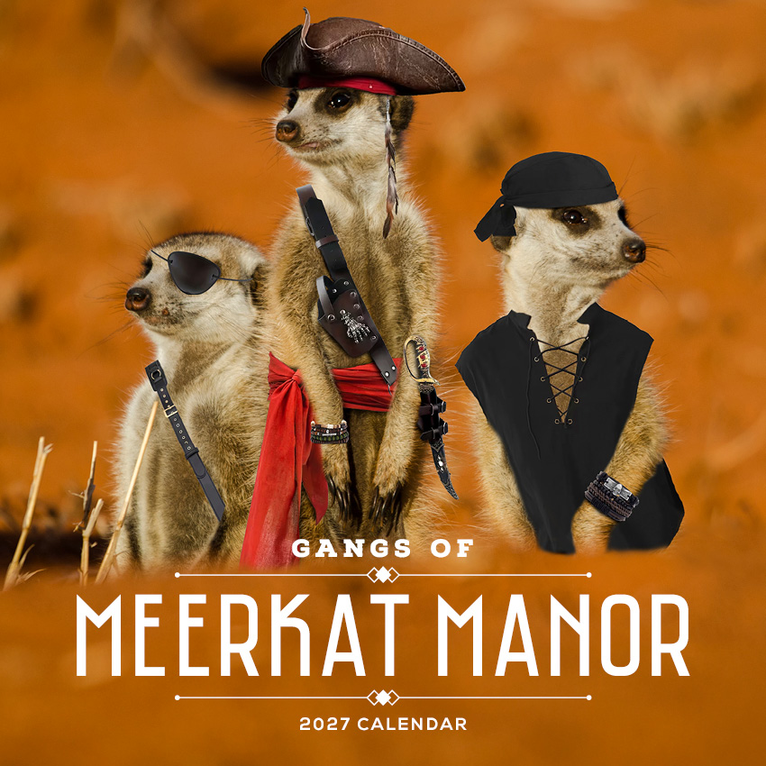 Gangs of Meerkat Manor Calendar 2027