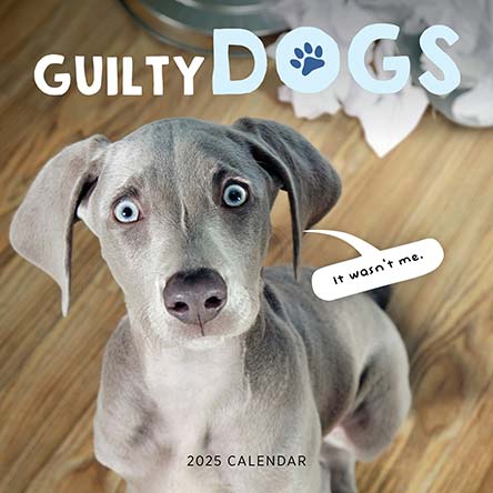 Guilty Dogs 2025 Calendar