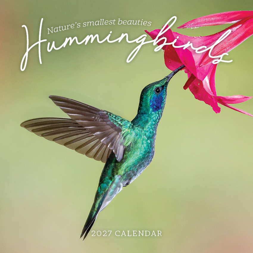 Hummingbirds Calendar 2027