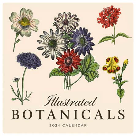 2024 Illustrated Botanicals Calendar