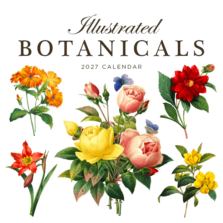 Illustrated Botanicals Calendar 2027