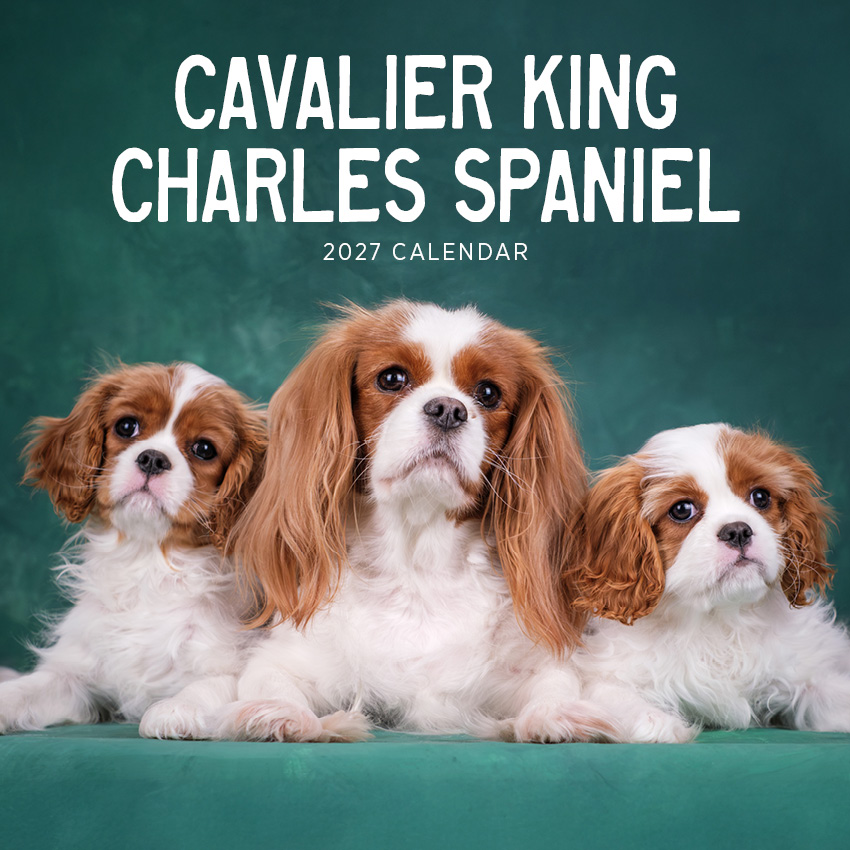 Cavalier King Charles Spaniels Calendar 2027