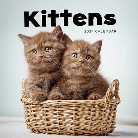 2024 Kittens Calendar