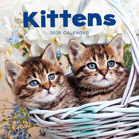 Kittens 2026 Calendar