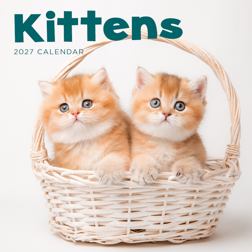 Kittens Calendar 2027
