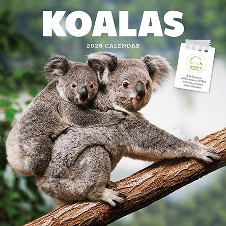 Koalas 2026 Calendar