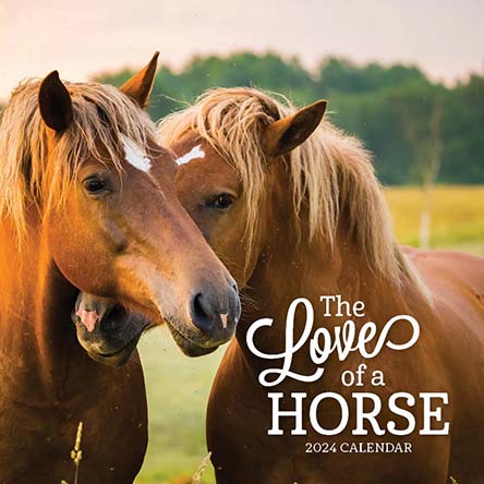 2024 The Love Of A Horse Calendar