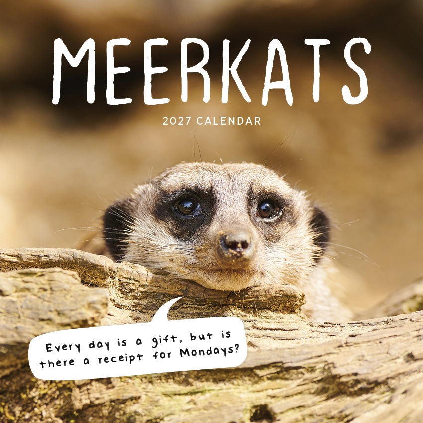 Meerkats Calendar 2027