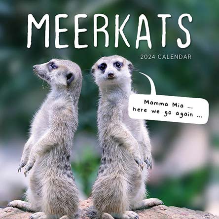 2024 A Meerkats Guide to Life Diary